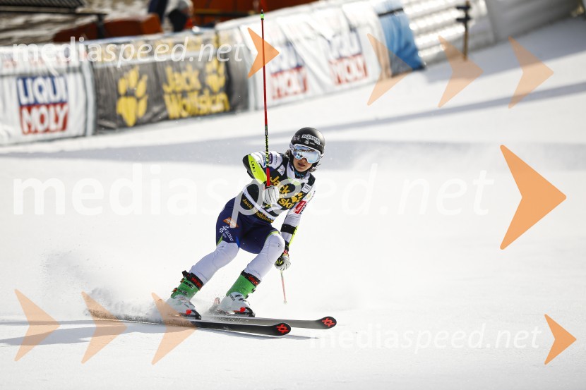 Veleslalomske stopničke Mete Hrovat, Zlata lisica 2020