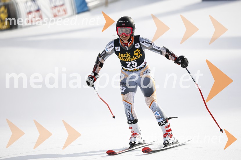 Veleslalomske stopničke Mete Hrovat, Zlata lisica 2020