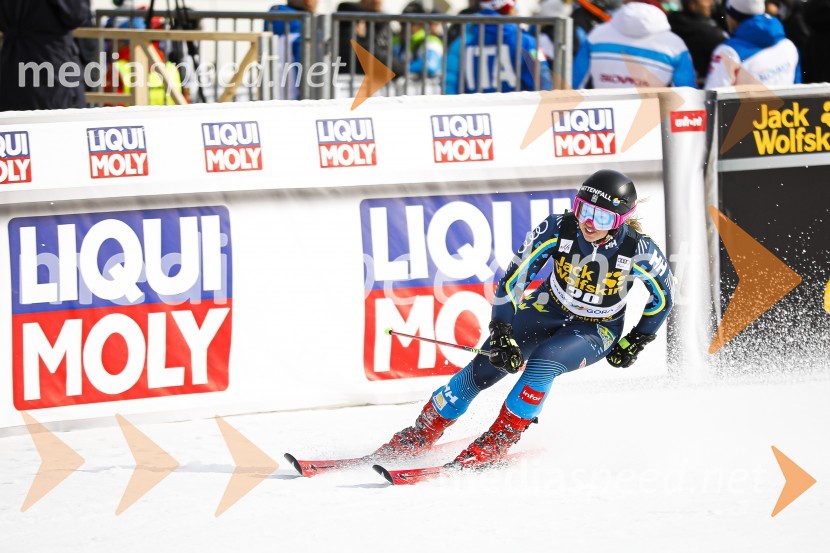 Veleslalomske stopničke Mete Hrovat, Zlata lisica 2020