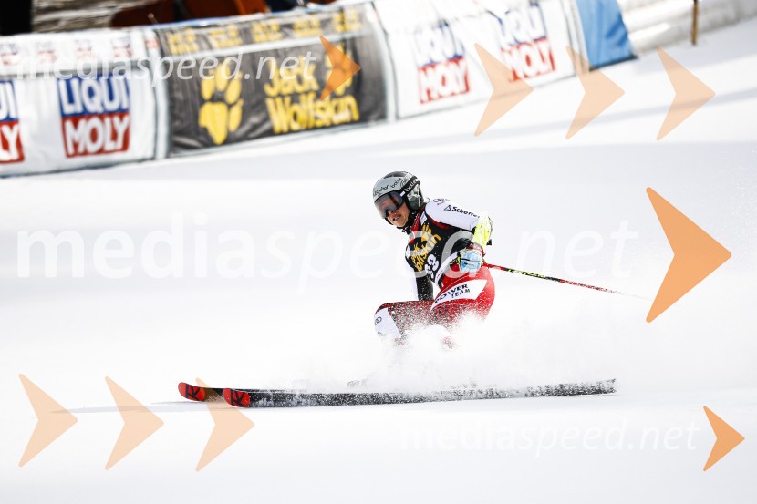 Veleslalomske stopničke Mete Hrovat, Zlata lisica 2020