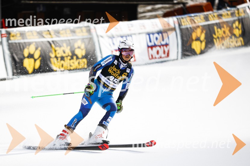 Veleslalomske stopničke Mete Hrovat, Zlata lisica 2020