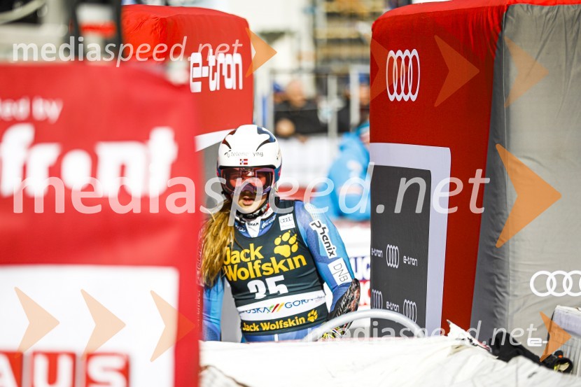 Veleslalomske stopničke Mete Hrovat, Zlata lisica 2020