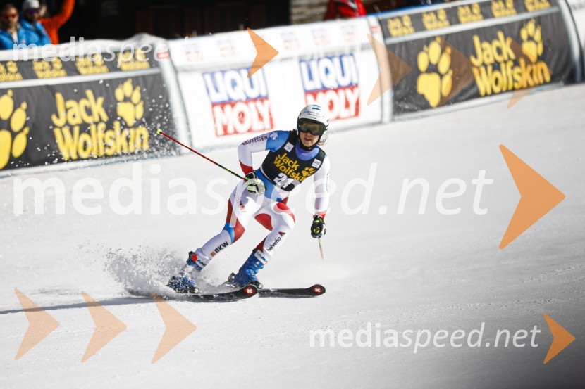 Veleslalomske stopničke Mete Hrovat, Zlata lisica 2020