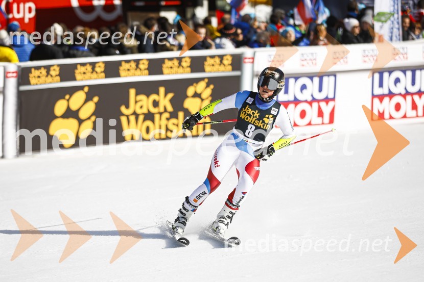 Veleslalomske stopničke Mete Hrovat, Zlata lisica 2020