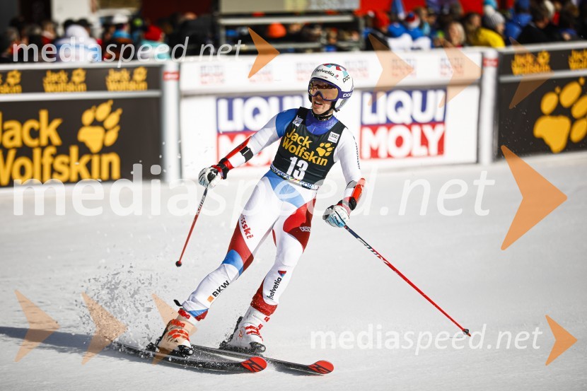 Veleslalomske stopničke Mete Hrovat, Zlata lisica 2020