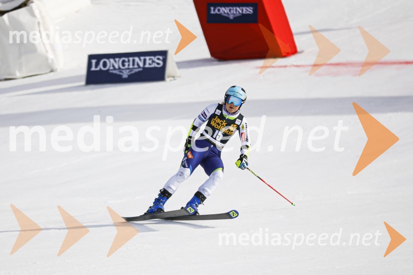 Veleslalomske stopničke Mete Hrovat, Zlata lisica 2020