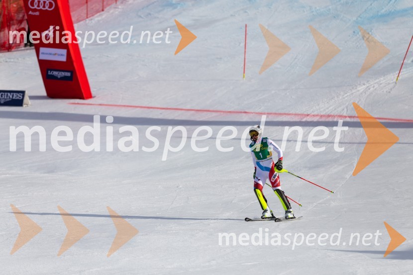 Velika zmaga Petre Vlhove, Zlata lisica 2020, nedelja