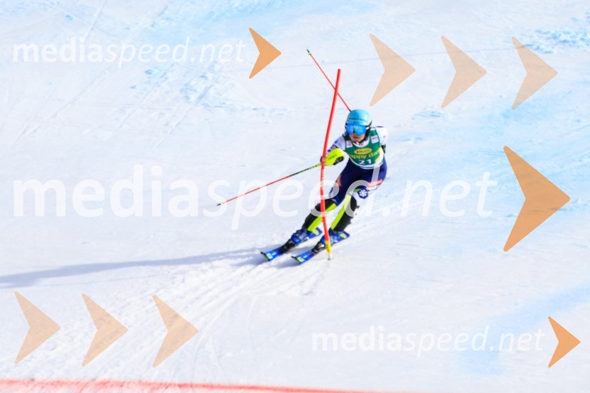 Velika zmaga Petre Vlhove, Zlata lisica 2020, nedelja