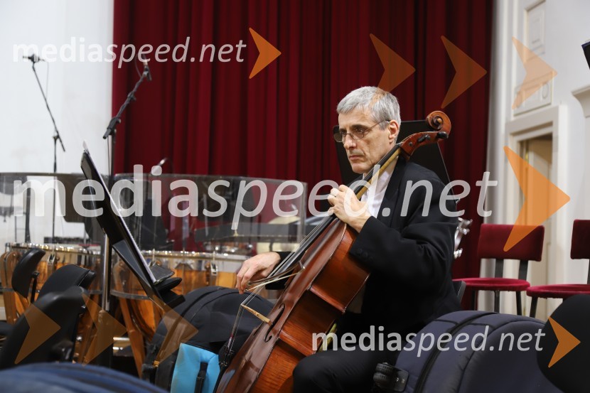  Božo Šulić, violončelist4. koncert Simfoničnega cikla z Dubravko Tomšič Srebotnjak