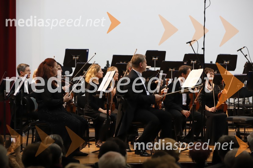 4. koncert Simfoničnega cikla z Dubravko Tomšič Srebotnjak