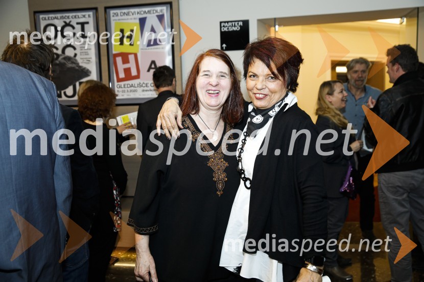 Očiščenje, premiera drame SLG Celje