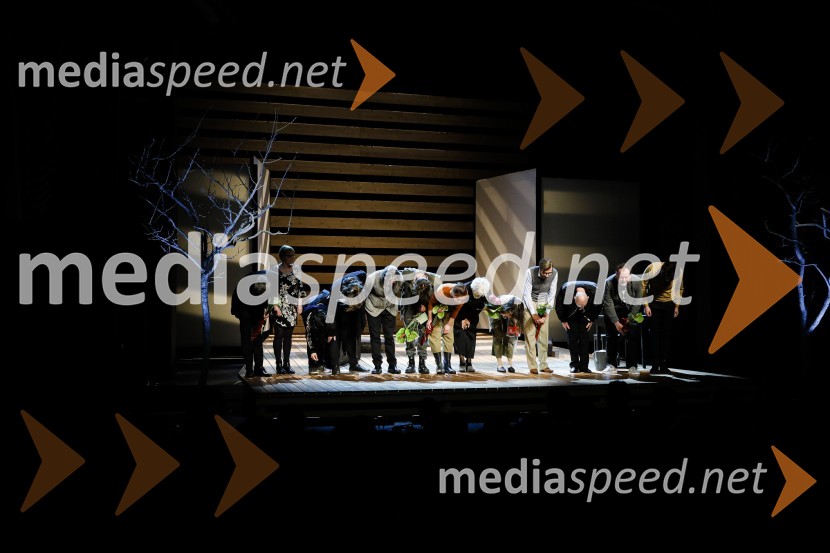 Očiščenje, premiera drame SLG Celje