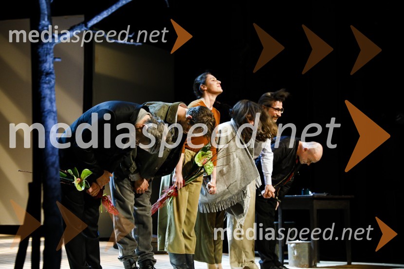 Očiščenje, premiera drame SLG Celje