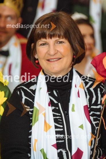 60. Mednarodna karnevalska povorka