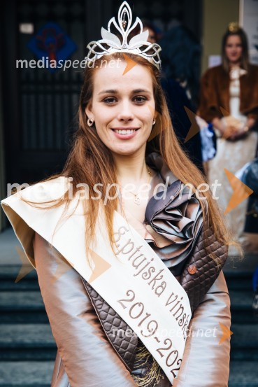 60. Mednarodna karnevalska povorka