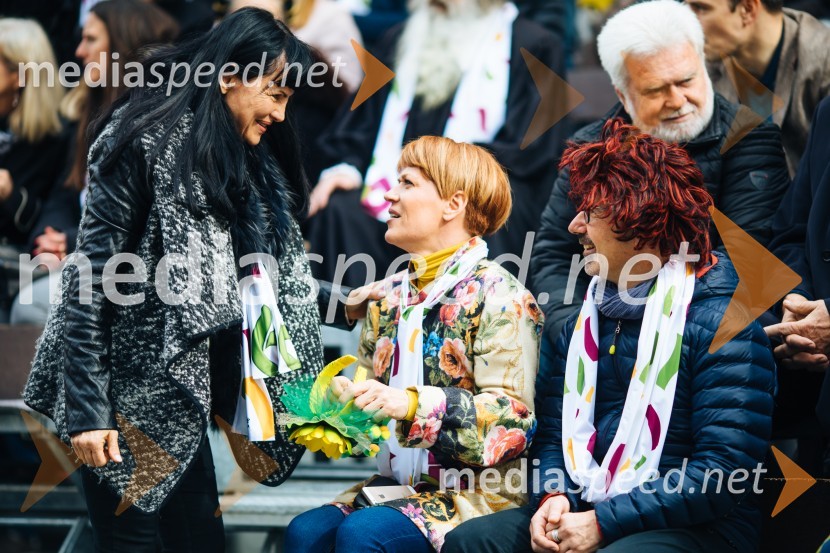 60. Mednarodna karnevalska povorka