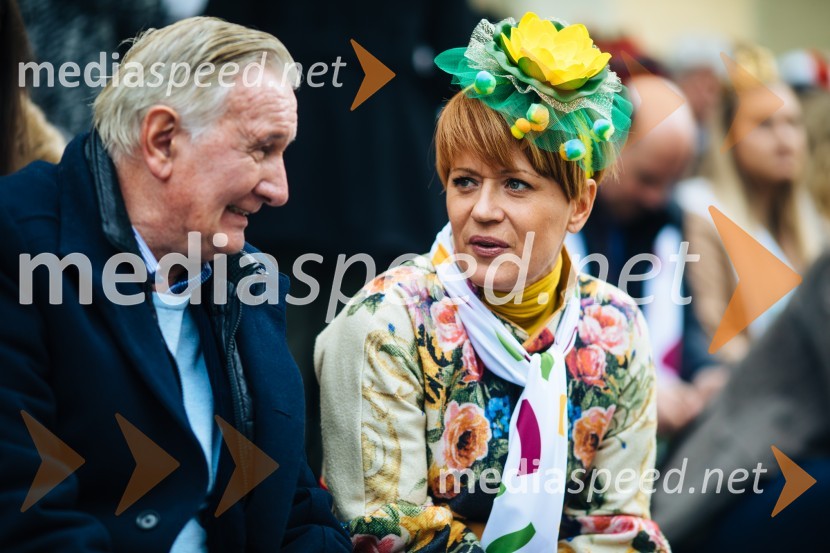 60. Mednarodna karnevalska povorka