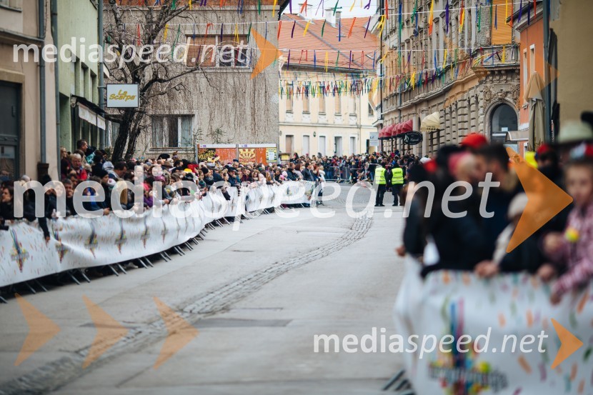 60. Mednarodna karnevalska povorka