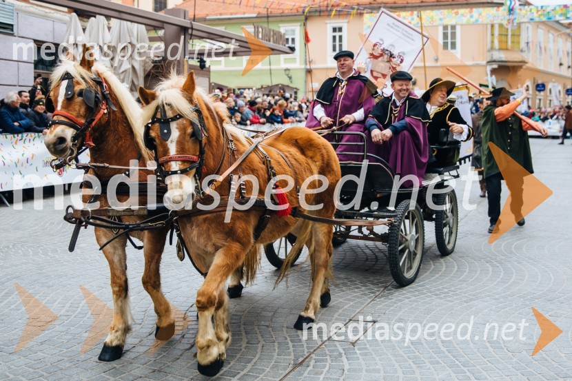 60. Mednarodna karnevalska povorka