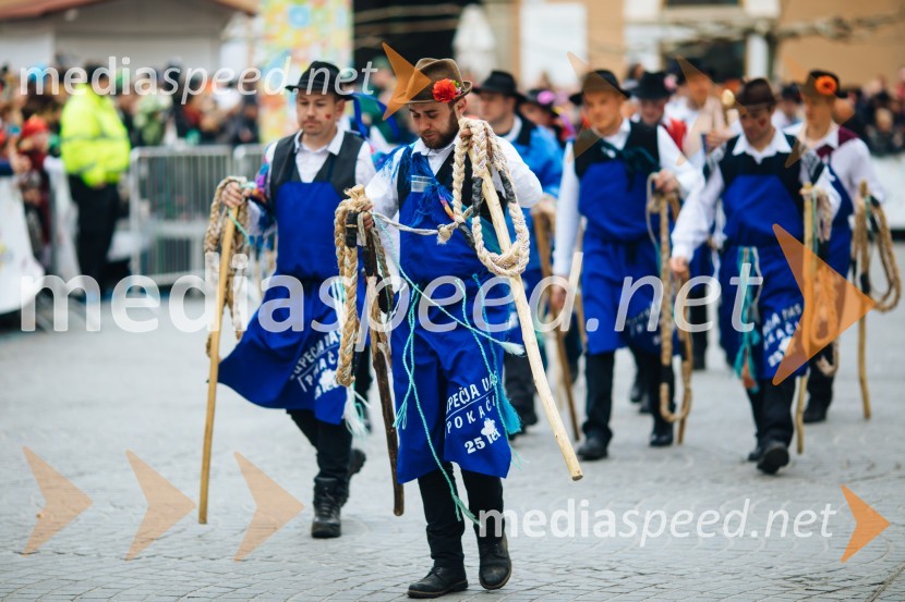 60. Mednarodna karnevalska povorka