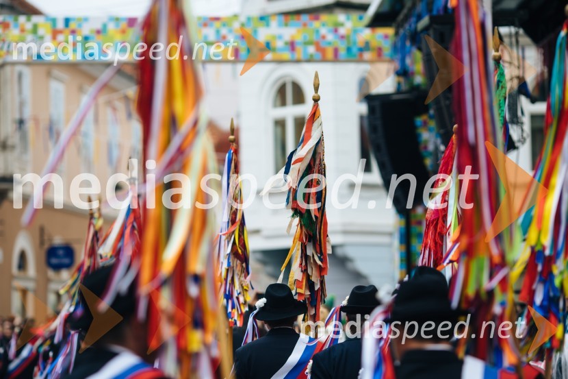 60. Mednarodna karnevalska povorka