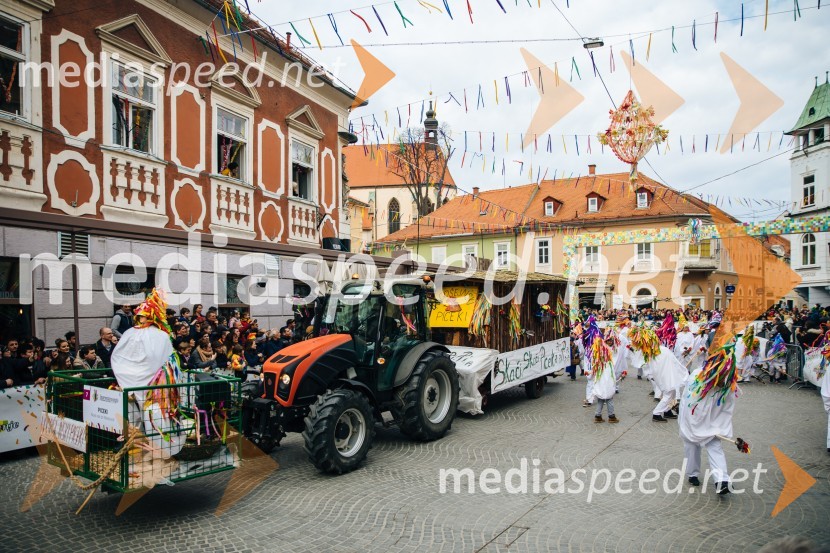 60. Mednarodna karnevalska povorka