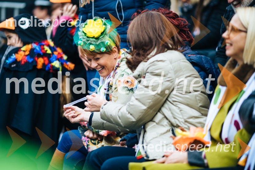 60. Mednarodna karnevalska povorka