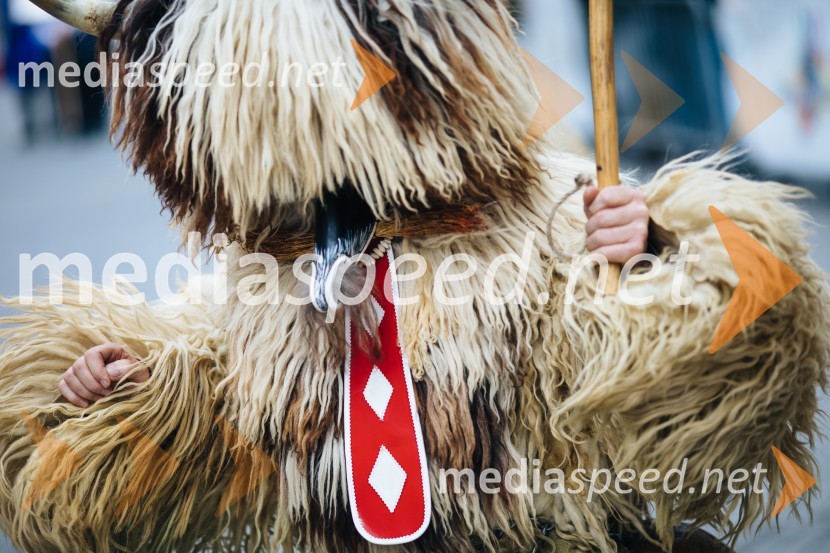 60. Mednarodna karnevalska povorka