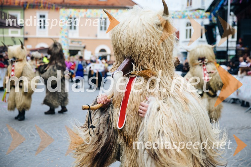60. Mednarodna karnevalska povorka