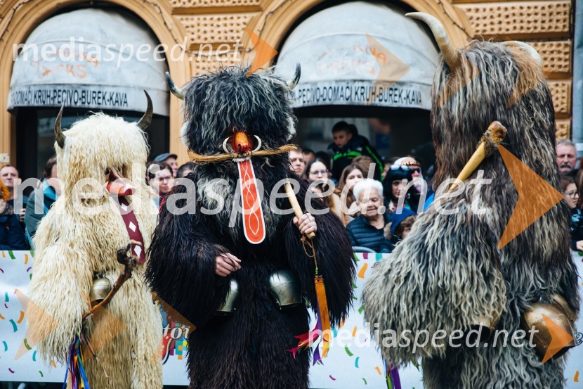 60. Mednarodna karnevalska povorka