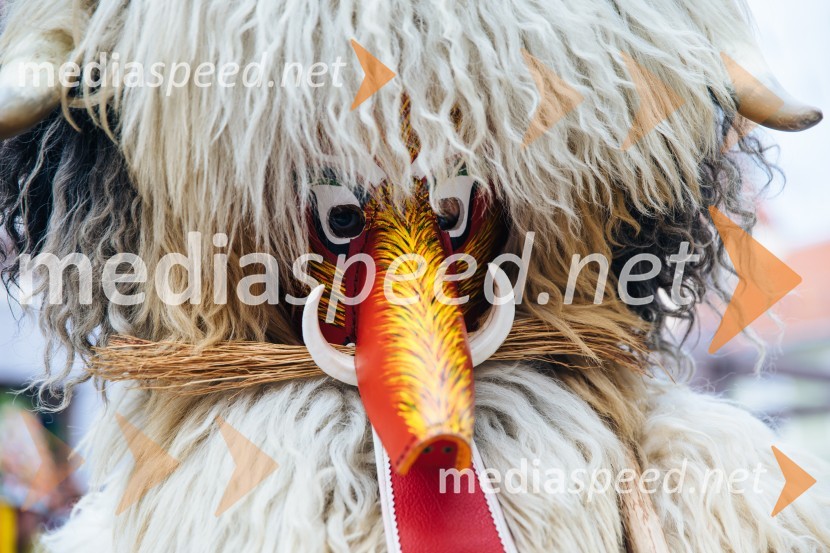 60. Mednarodna karnevalska povorka