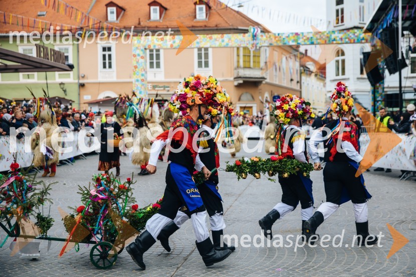 60. Mednarodna karnevalska povorka
