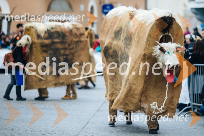 60. Mednarodna karnevalska povorka