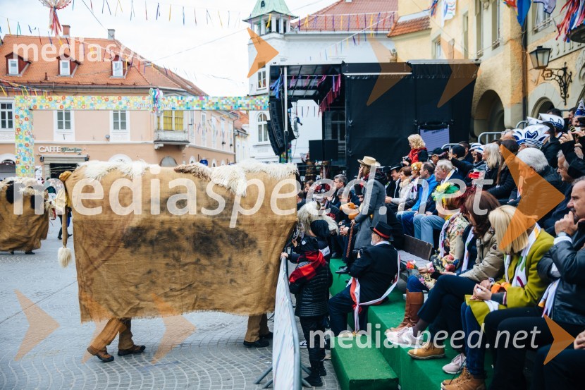 60. Mednarodna karnevalska povorka