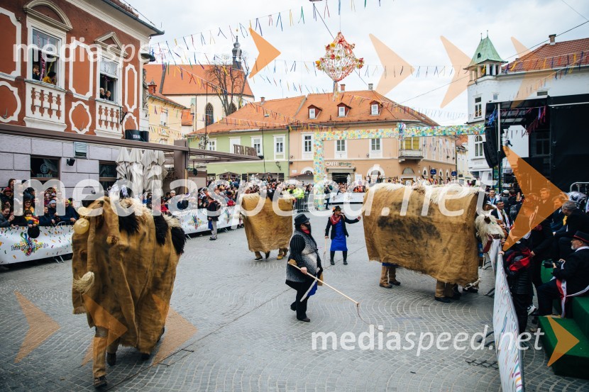 60. Mednarodna karnevalska povorka