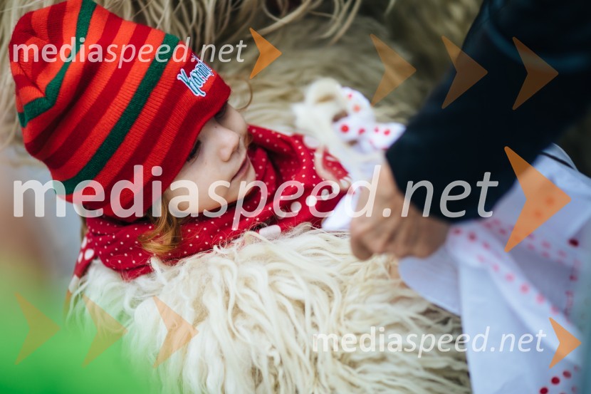 60. Mednarodna karnevalska povorka