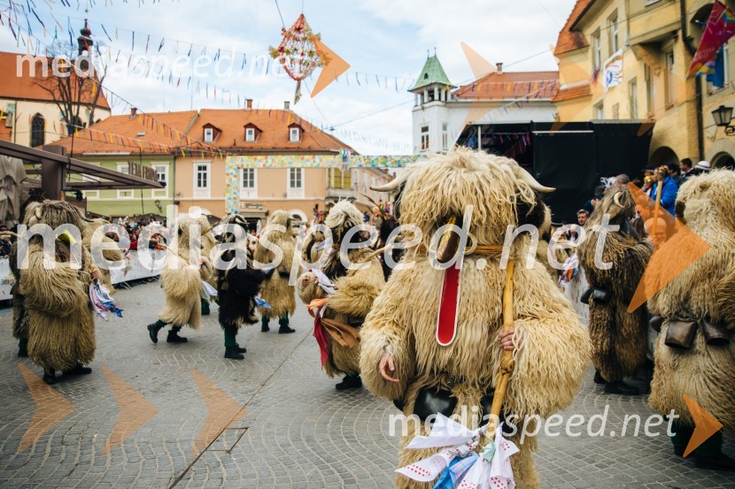60. Mednarodna karnevalska povorka