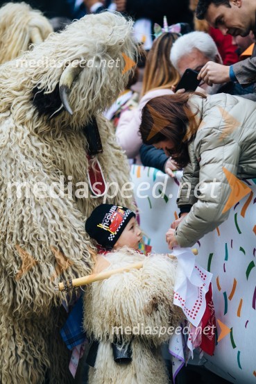 60. Mednarodna karnevalska povorka