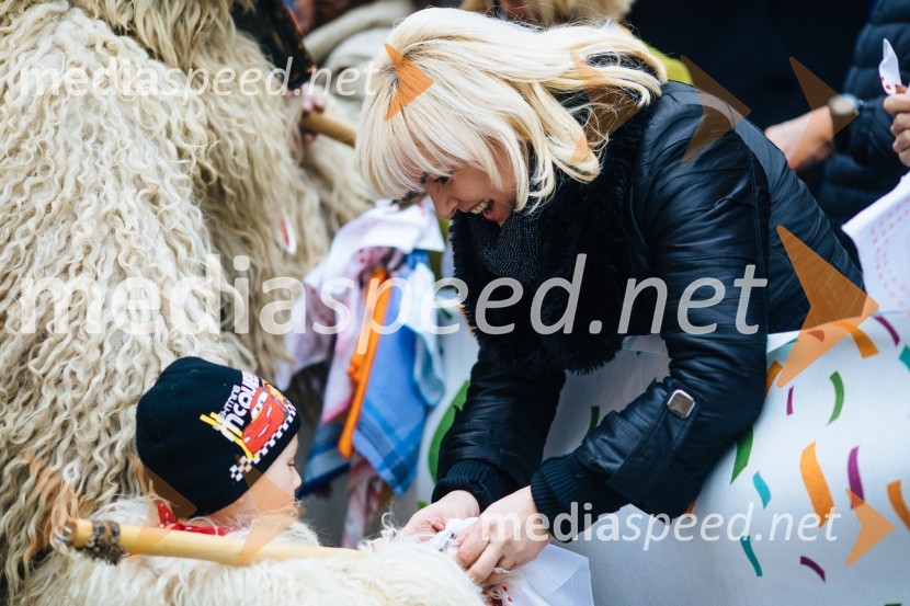 60. Mednarodna karnevalska povorka