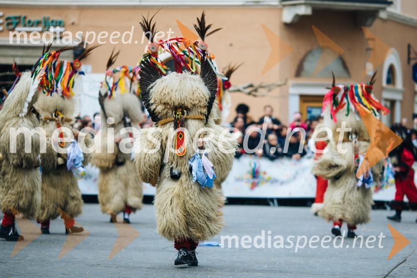 60. Mednarodna karnevalska povorka