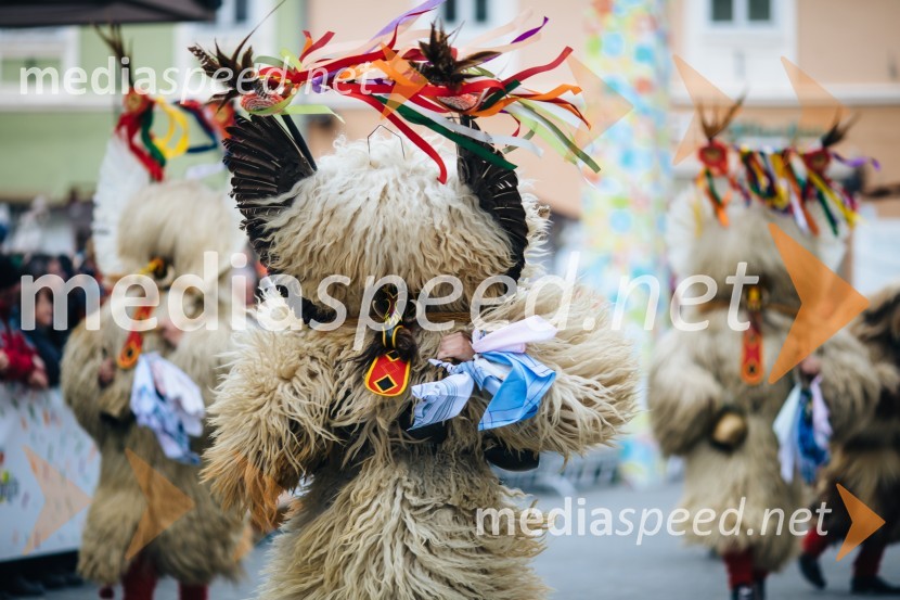 60. Mednarodna karnevalska povorka