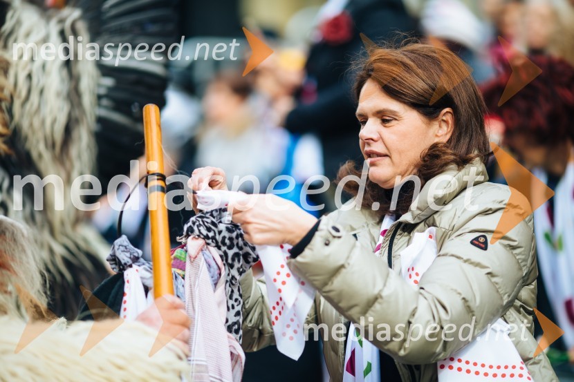 60. Mednarodna karnevalska povorka