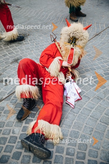 60. Mednarodna karnevalska povorka