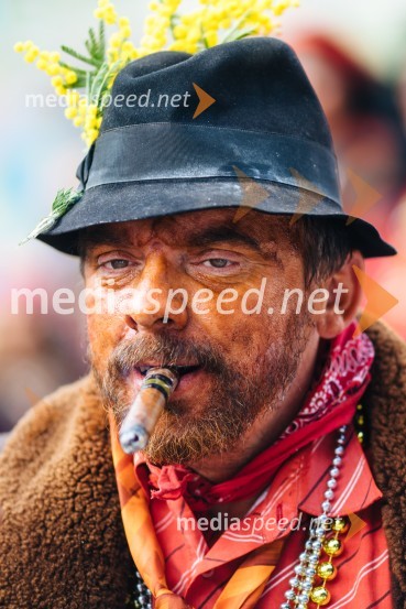 60. Mednarodna karnevalska povorka