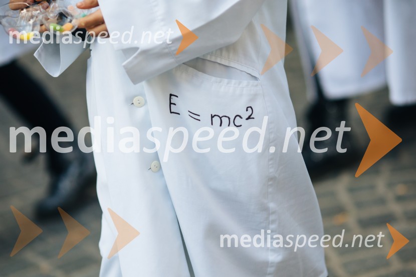 60. Mednarodna karnevalska povorka