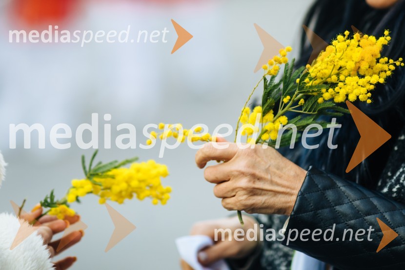 60. Mednarodna karnevalska povorka