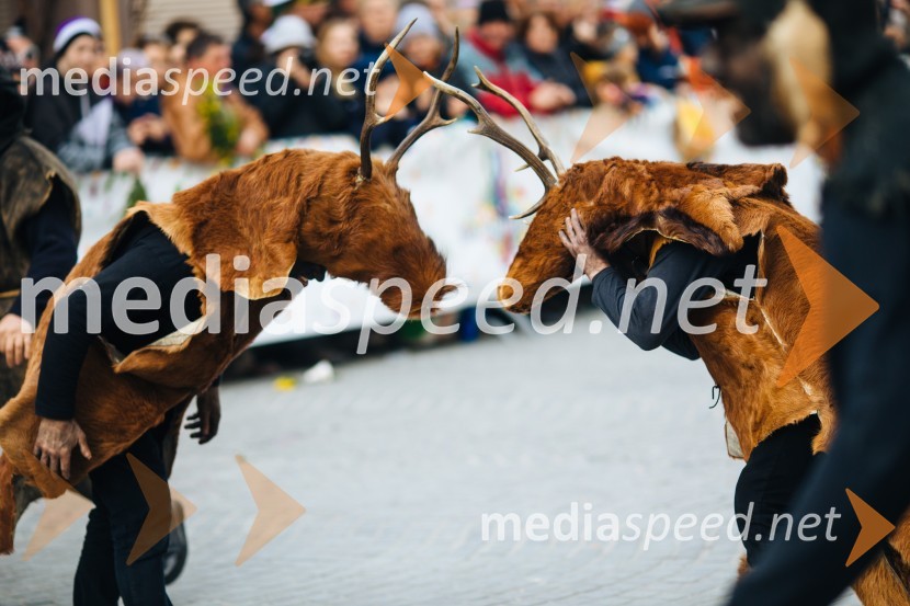 60. Mednarodna karnevalska povorka