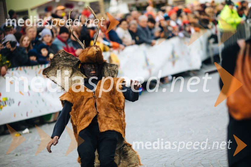 60. Mednarodna karnevalska povorka