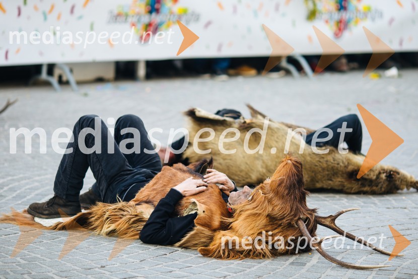 60. Mednarodna karnevalska povorka