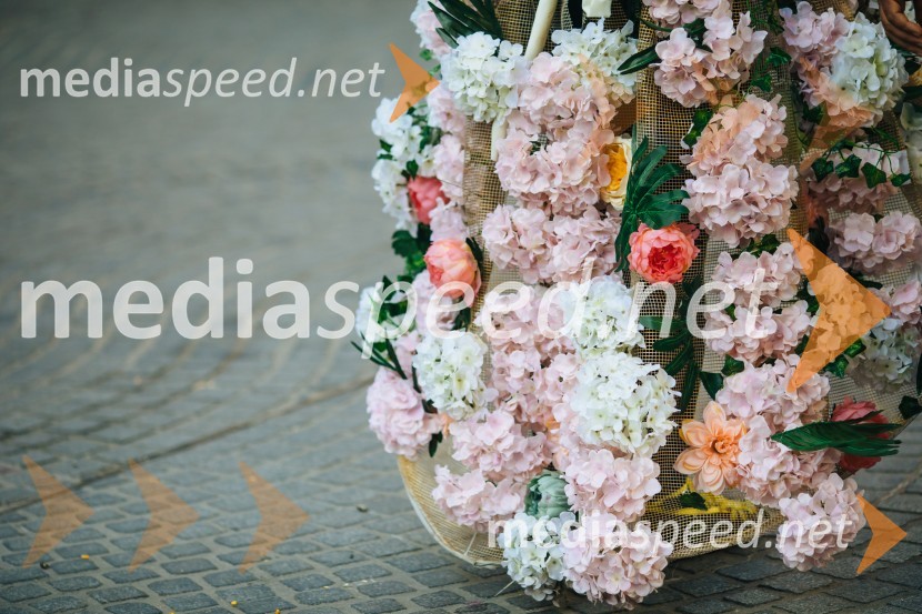 60. Mednarodna karnevalska povorka